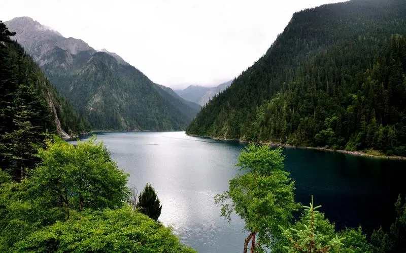 创新智能系统网络化